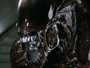 Alien Warrior Brown (Special Edition) Hot Toys sixth scale figure